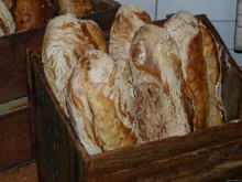brød i kasse